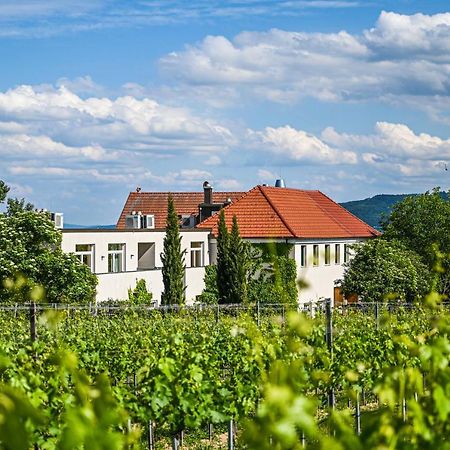 Hotel Wirtshaus Leindl Krems an der Donau Zewnętrze zdjęcie